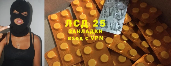 стаф Богданович