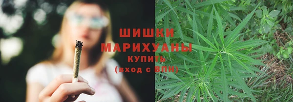 стаф Богданович