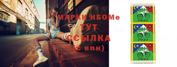 индика Богородицк