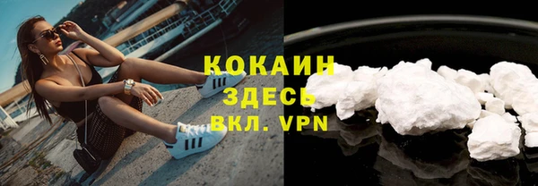 индика Богородицк
