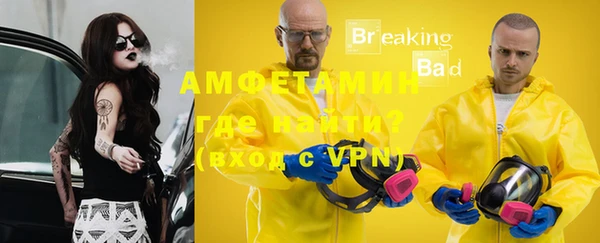стаф Богданович