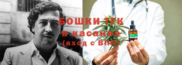стаф Богданович