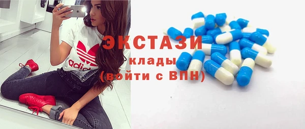 стаф Богданович