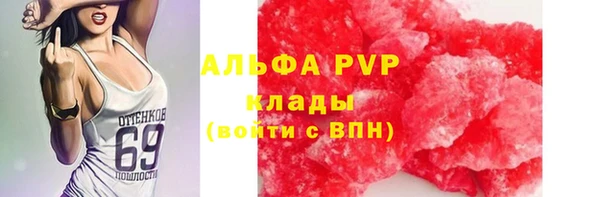spice Богородск