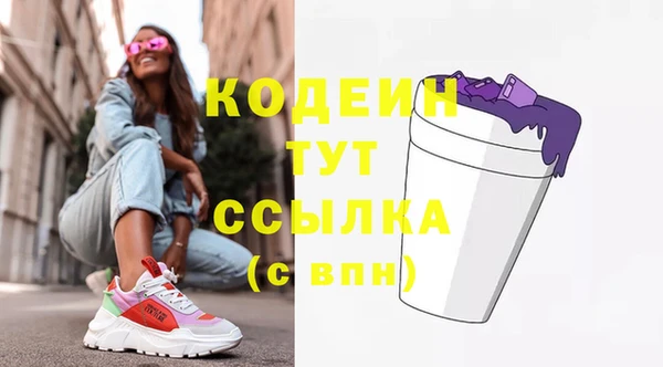 spice Богородск