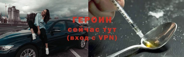 индика Богородицк