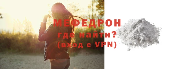 индика Богородицк