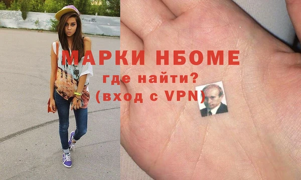 индика Богородицк