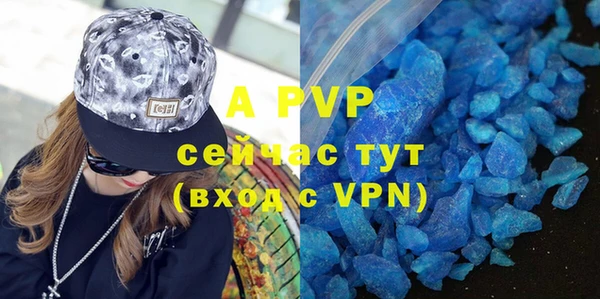 индика Богородицк