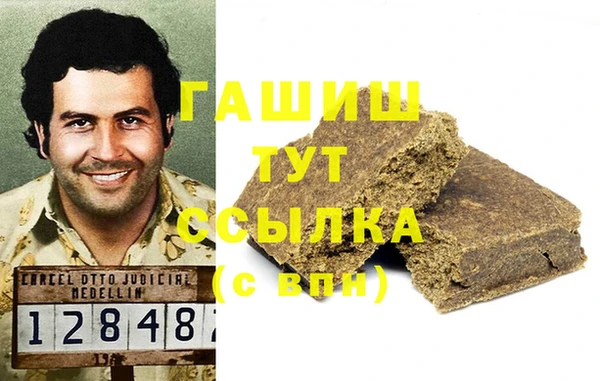 стаф Богданович