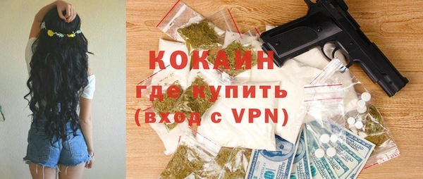 индика Богородицк