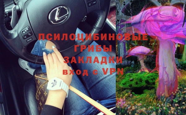 стаф Богданович