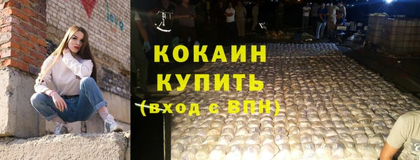 индика Богородицк