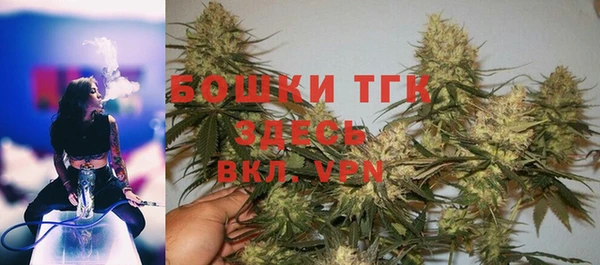индика Богородицк