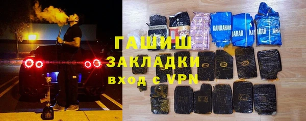 индика Богородицк