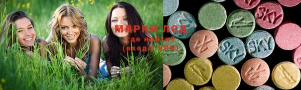 индика Богородицк