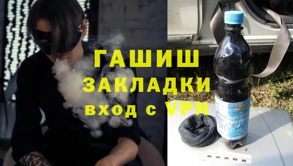 индика Богородицк