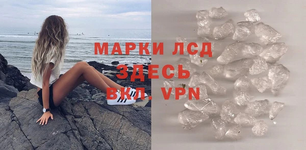 стаф Богданович