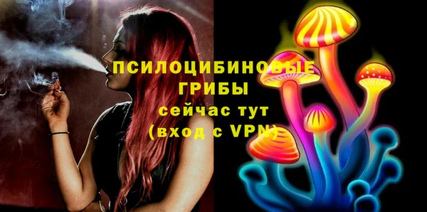 spice Богородск