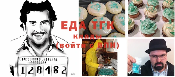 индика Богородицк