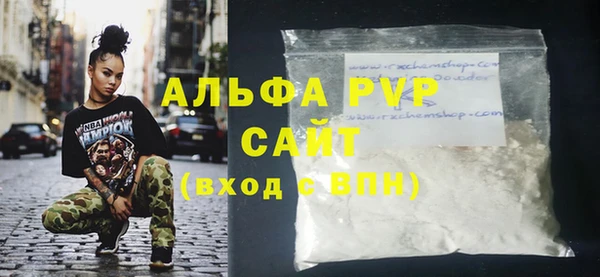 стаф Богданович