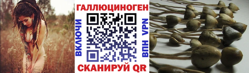 блэк спрут как войти  Надым  Галлюциногенные грибы прущие грибы  купить закладку 